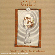 CALC "12 steps to whatever" CD